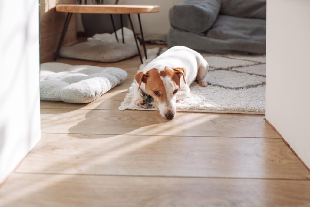 Drewno od wieków stanowi jeden z najważniejszych materiałów budowlanych i dekoracyjnych